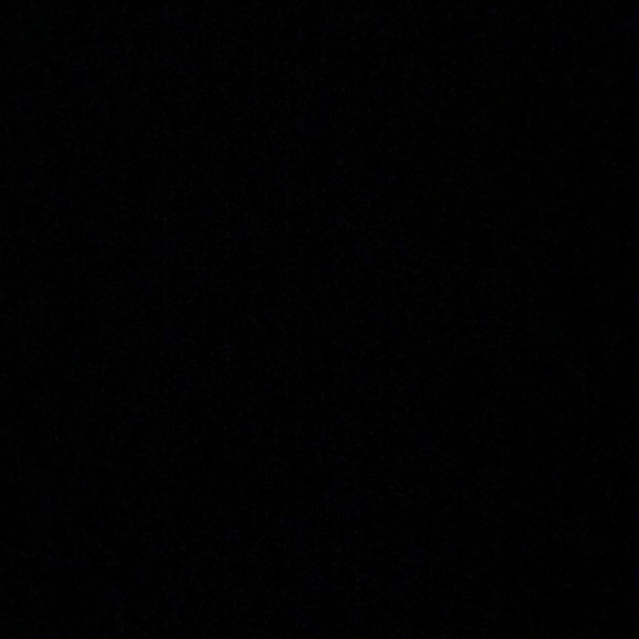 Meet your Posher, Mikaila - Picture 1 of 1